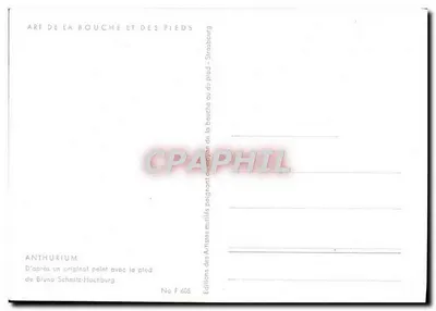 Anthurium — pomalowane nogą — Éditions des Artistes Mulliés, No F 605 — Rewers