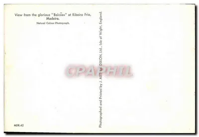 Widok z «Balcões» w Ribeiro Frio — Madeira — wydawca J. Arthur Dixon & Co. Ltd., Wight, Isle of — Rewers