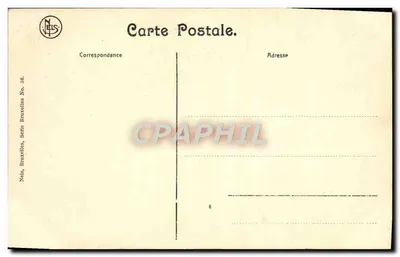 Bruksel — Dom Króla — wydawca Nels, seria 36 — Rewers