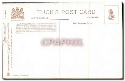 Argelia — Mujeres árabes tejedoras — Tuck's Post Card n°734 — Reverso