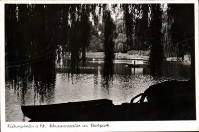 Ludwigshafen a Rh - Schwanenweiher no Ebertpark — Verlag Wilh. Maul, Nr. M 4/43