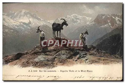 Na szczytach — Aiguille Verte i Mont-Blanc — Jullien frères, Genewa, nr 3162