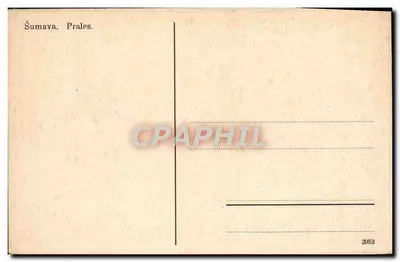 Gęsta las — odpadki drzew — Šumava. Prales. 2053 — Rewers