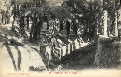 Figuig - Les Sources — Fototipia Labouche Frères, Toulouse, n°18