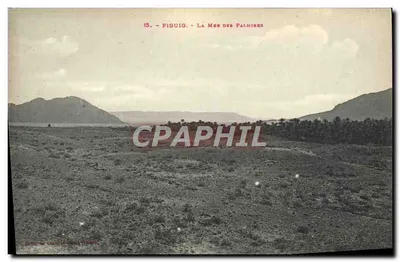 Figuig - A Men dos Palmieres — série 15, editor 'Imprimerie L. F. Paris'