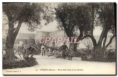 Oudjda (Marrocos) - Porta Sidi Aïssa e os Olivais — Coleção Ideal P. S. n°17