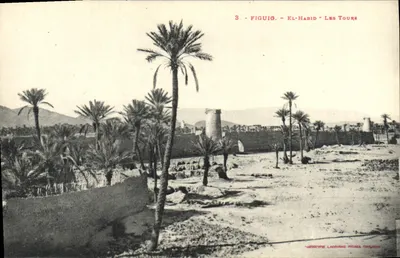 Figuig - El-Habid - As Torres — Editor Labouche, série 3