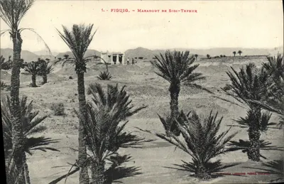 Figuig - Marabout de Sidi-Tefeur — Editor: Chantonne Larouche, Toulouse