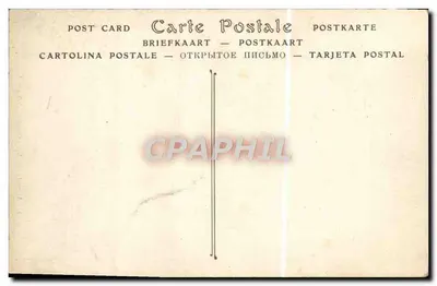 Giovane Mauresca — ND Fot. — 139 A — Verso