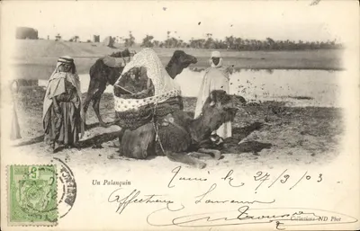 Palankin — TUNISIA — Collections ND Phot