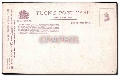 Sabès-Djara (Tunisja) — krajobraz po zachodzie słońca — Tuck's Post Card, seria 'Wide World Series', nr 286 — Rewers