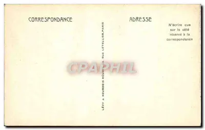 Palmy datowe — W południu — Battiers ND — Rewers