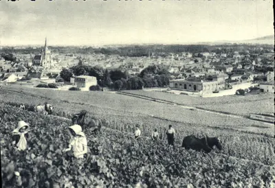 Ay - Vista geral - Primeiro cru de uvas negras — Champagne Pommery & Greno - Reims
