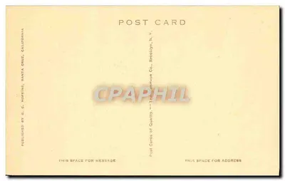 Wielkie sekwojie — Santa Cruz, Kalifornia — G. C. Hopkins — Rewers