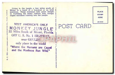 Macacos na floresta — Miami, Flórida — editor D.C. 152 — Gulf Stream Card & Distributing Co. — Verso