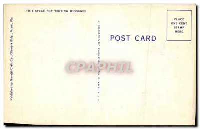 Floroda - Ogród cytrynowy — F-88 — Novelti-Craft Co. — Rewers