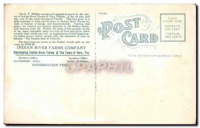 E. C. Walker parmi les agrumes — Vero, Floride — éditeur Indian River Farms Company — Verso