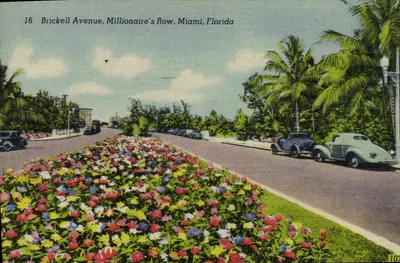 Brickell Avenue, Millionaire's Row, Miami, Florida — editor 'Distributors for Florida' n°16