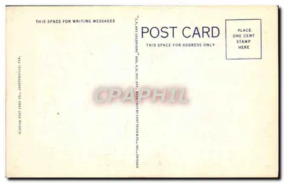 Drzewo bananowe pokazujące kwiat i owoc w Floradzie — seria 643 — Florida Post Card Co., Jacksonville, FL — Rewers