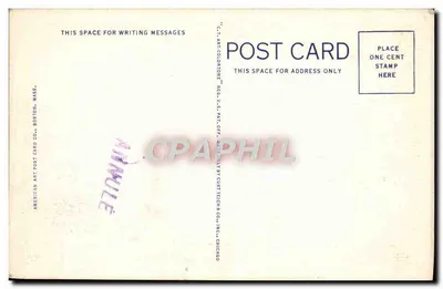 Point Breeze, Lake Chargoggagoggmanchaugchaubunagungamaugg, Webster, Mass. — American Art Post Card Co. — nr SA-41237 — Rewers