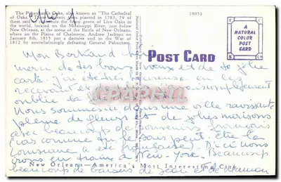 Les Pakenham's Oaks — A catedral dos carvalhos — editor New Orleans — Verso