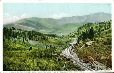 Crossing the Timber Line — Manitou and Pike's Peak Railway, Colorado — Detroit Photographic Co. n°6319