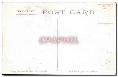 De Morgenster, Upper Geyser Basin — Yellowstone Park — Detroit Photographic Co. n° 10784 — Achterkant