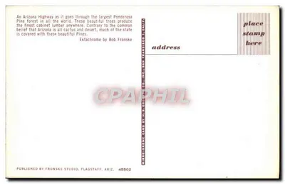 Rodovia através da floresta de pinheiros Ponderosa — Arizona — editor Fronske Studio, Flagstaff — Verso