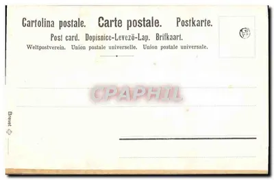 Violette-Modestia — Serie No. 2 — Brevetto No. — Editore Brevetto — Verso