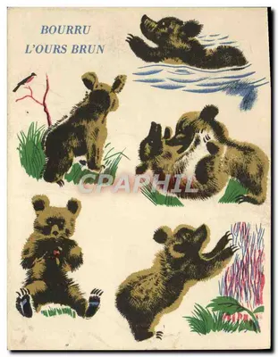 Bourru o Urso Marrom — Album do Père Castor