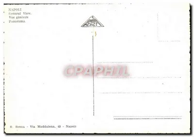 Napoli - Panorama — widok z sosny — wydawca R. Renza, Via Maddalena, 48 — Rewers