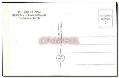 Słonie w rodzinie — Saigon, Ogród Botaniczny — Cliché France des Colontes, n°251 — Rewers