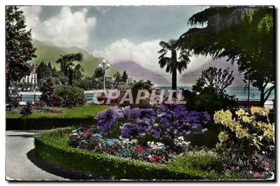 Jardim florido à beira do lago — Locarno-Muralto — editor desconhecido, n° 2526
