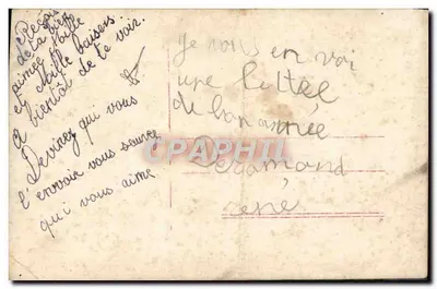 Pansées — bouquet de fleurs aux pétales blancs et pourpres — éditeur C.A.H.B. n°299 — Rewers