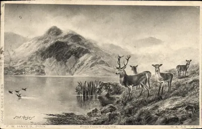 Deer near a lake — mountains in the background — F. W. Hayes, Pinx. Series 6139
