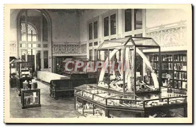 Galeria Econômica - Museu do Congo Belga — O grupo de trabalho de marfim