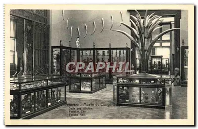Sala dos Fetiches - Museu do Congo Belga — Ern. Thill, Bruxelas