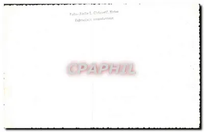 Lovcen Serpentine — widok panoramiczny — Atelier L. Cihgorić, Kotor — Rewers