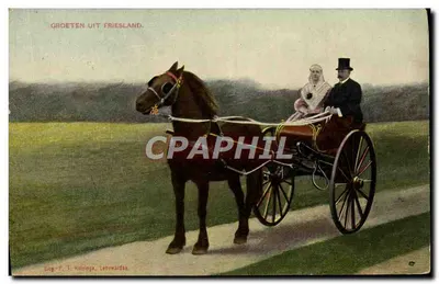 Casais em carruagem — Friesland — Drukkerspers