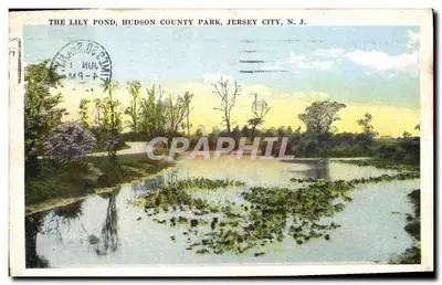 O lago dos lírios, parque do condado de Hudson, Jersey City, N.J. — edição não identificada