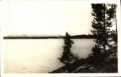 Lac Yellowstone — vue du lac avec montagnes enneigées à l'horizon — éditeur Yellowstone Park, 10116