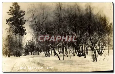 Vista invernal — perto de Bathorium, Idaho — editada por Pacific Photo Co., Salem, Oregon
