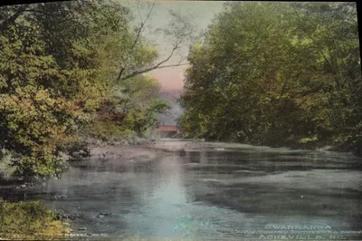 Vista para o ponte do Southern Railway em Asheville, NC — Swannanoa — Impressor Rogers, n°42