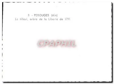Perouges (Ain) — o tilídio, árvore da Liberdade de 1791 — n°8 — Verso
