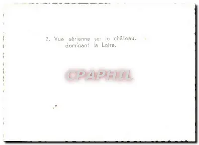Zamek Château-sur-Loire — widok z lotu nad Loarą — n°2 — Rewers