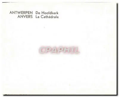 Antwerpen — Katedra — Rewers