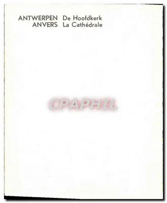 Antwerpen — Katedra — Rewers