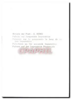 Palmizi na lungomare Imperialrice — Riviera dei Fiori, S. Remo — Rewers