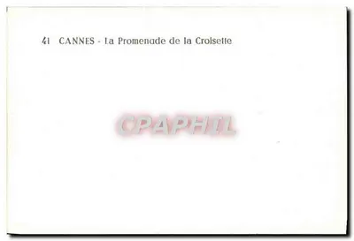 CANNES - De Promenade de la Croisette — uitzicht met palmen, auto's en versierde hek — Achterkant