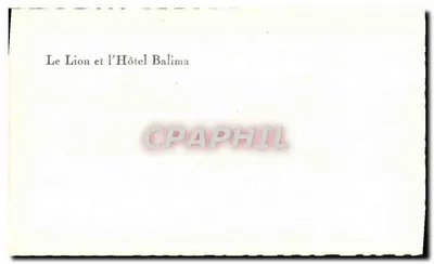 Lew i Hotel Balima — Rewers